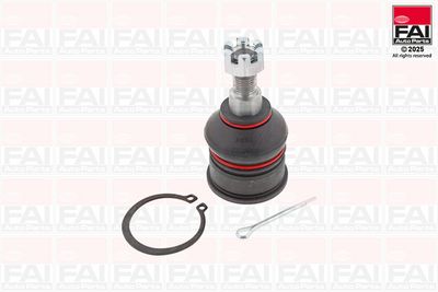 Шарнири FAI AutoParts SS4081