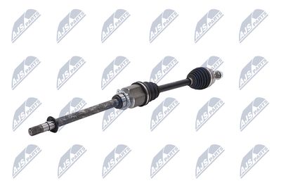 PLANETARA NTY NPWFT100 5