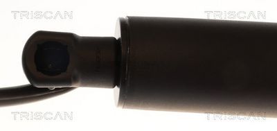 Pneumatická pružina, zavazadlový / nákladový prostor TRISCAN 8710 11376