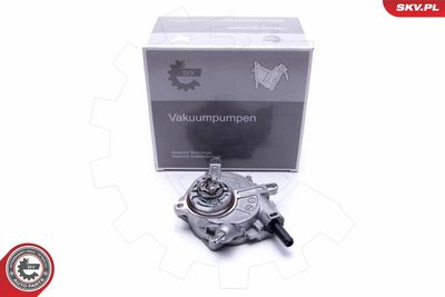 Vacuum Pump, braking system 18SKV024