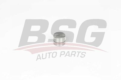 BSG BSG 65-122-022 Сухар клапана 