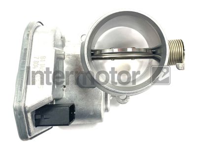 Throttle Body Intermotor 68433