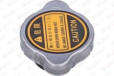 BUSON RADIATOR BIRTH 81184 10