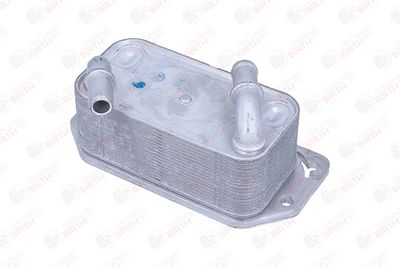 RADIATOR ULEI ULEI MOTOR BIRTH 80837 8