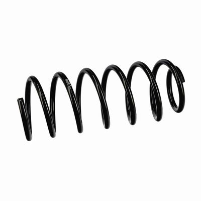 ARC SPIRAL EIBACH R10971 6