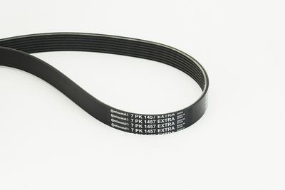 CONTINENTAL CTAM Keilrippenriemen