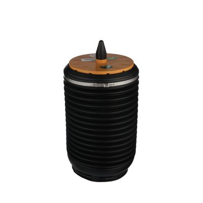 LUFTFEDER FAHRWERK Arnott A3891 39