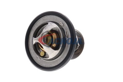 TERMOSTAT LICHID RACIRE ACKOJA A70990031 29