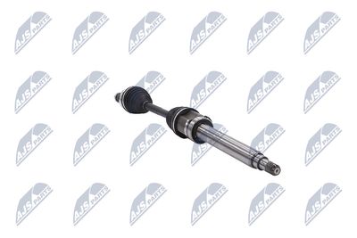 PLANETARA NTY NPWBM131 31