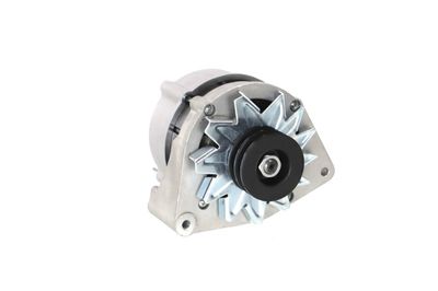 GENERATOR / ALTERNATOR REMANTE 011003000025R 57
