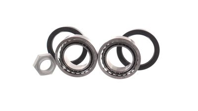 RADLAGERSATZ SKF VKBA829 36