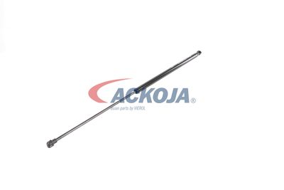 AMORTIZOR PORTBAGAJ ACKOJA A380338 31