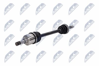 PLANETARA NTY NPWFR031 2