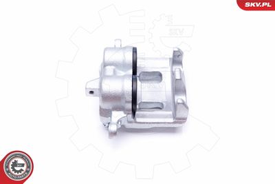 Brake Caliper 44SKV232