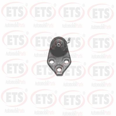 Шарнири ETS 67.BJ.039