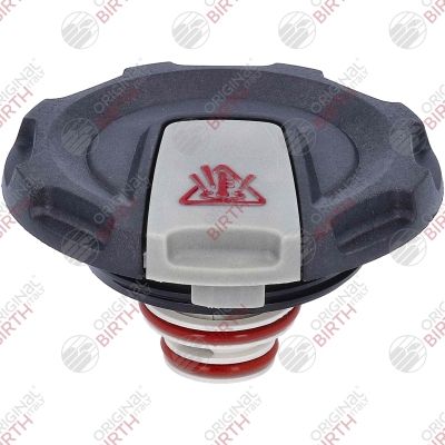 BUSON VAS EXPANSIUNE