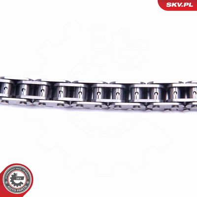 CHIT LANT DE DISTRIBUTIE ESEN SKV 21SKV180 2