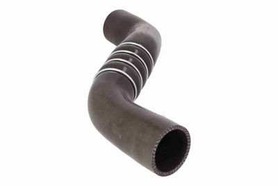 FURTUN EAR SUPRAALIMENTARE ACKOJA A380299 5