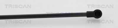 AMORTIZOR PORTBAGAJ TRISCAN 871011212 2