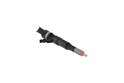 INJECTOR REMANTE 002003001174R 47