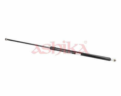 ZSA02022