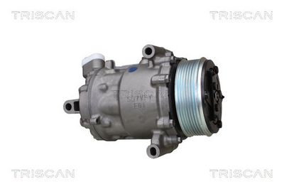 COMPRESOR CLIMATIZARE TRISCAN 902025034 6