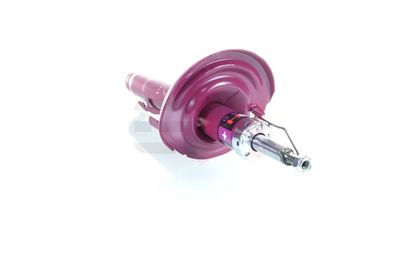 AMORTIZOR GH GH353955 22