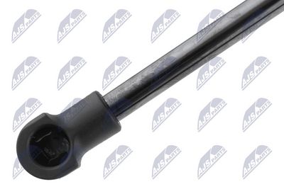 AMORTIZOR PORTBAGAJ NTY AEVW119 1