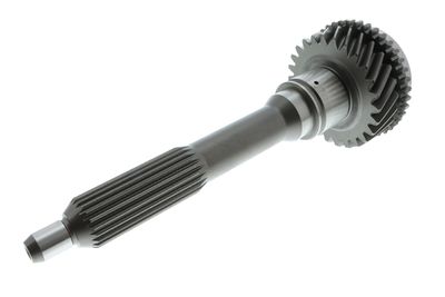 ARBORE INTRARE CUTIE DE VITEZA