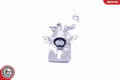 Brake Caliper 44SKV554