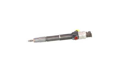 INJECTOR REMANTE 002003002085R 10