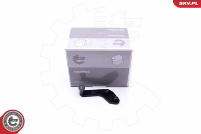 GHIDAJ CU ROLE USA GLISANTA