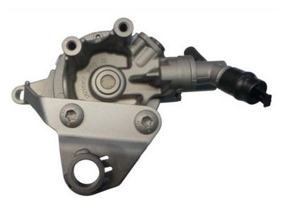 HYDRAULIKPUMPE LENKUNG SPIDAN 54887 1