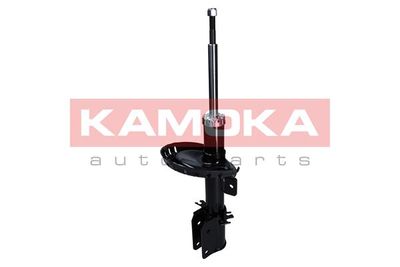 Shock Absorber 2000524