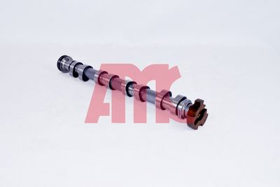 NOCKENWELLE AMC 647105 2