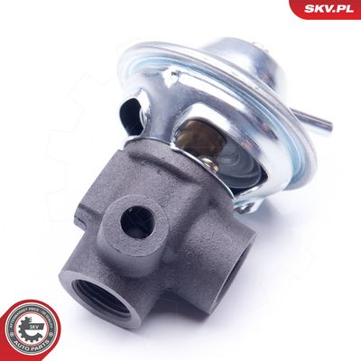 AGR-Ventil ESEN SKV 14SKV187