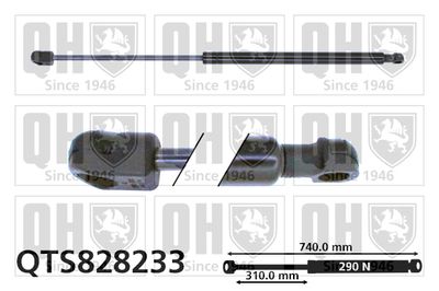 AMORTIZOR CAPOTA QUINTON HAZELL QTS828233