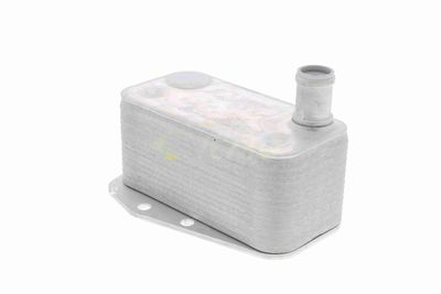 RADIATOR ULEI ULEI MOTOR VEMO V20600043 6