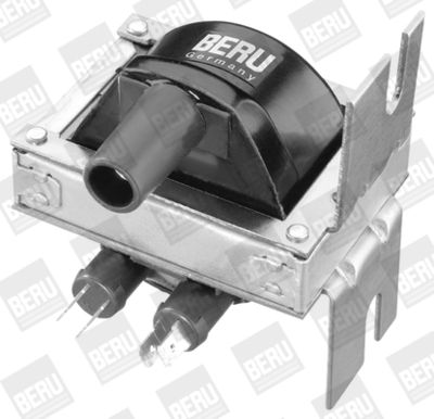 BorgWarner (BERU) Zündspule