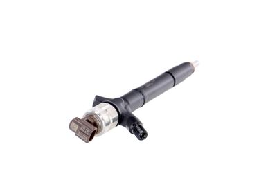 INJECTOR REMANTE 002003002041R 31