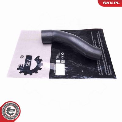 FURTUN EAR SUPRAALIMENTARE