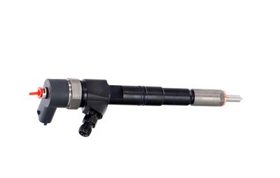 INJECTOR REMANTE 002003000028R 38