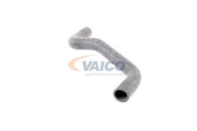 KüHLERSCHLAUCH VAICO V460911 44