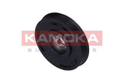 Belt Pulley, crankshaft RW023