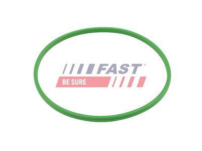 Těsnění, palivové čerpadlo FAST FT48503