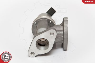 EGR Valve 14SKV054