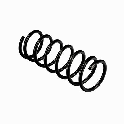 ARC SPIRAL EIBACH R10118 22