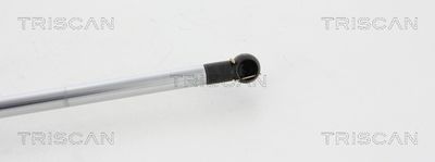 AMORTIZOR PORTBAGAJ KAWE 871068212 2