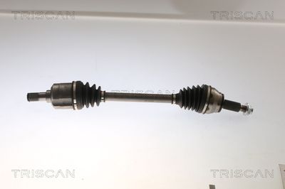 полуоска TRISCAN 8540 43511