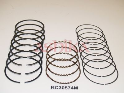 SEGMENT PISTON